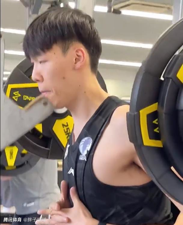 手机免费在线观看av