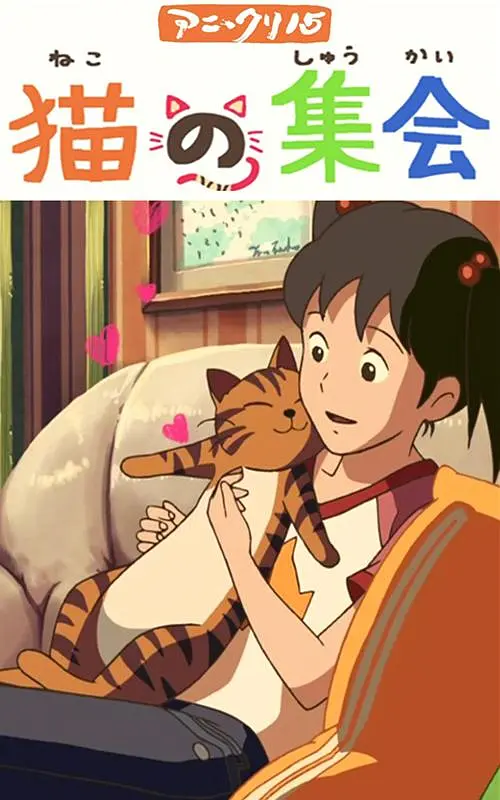 日本不卡视频一区二区三区