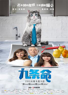 丝袜美女被c