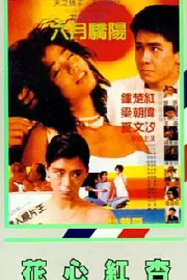 新婚之夜的激情