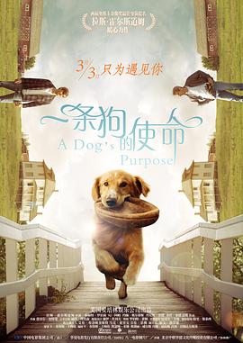 buy1take2资源怎么找
