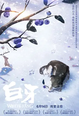 没有很爱老公但爱当娇妻