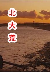 大焦网