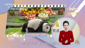 高清国产美女在线观看